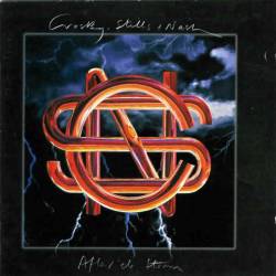 Crosby Stills Nash And Young : After the Storm